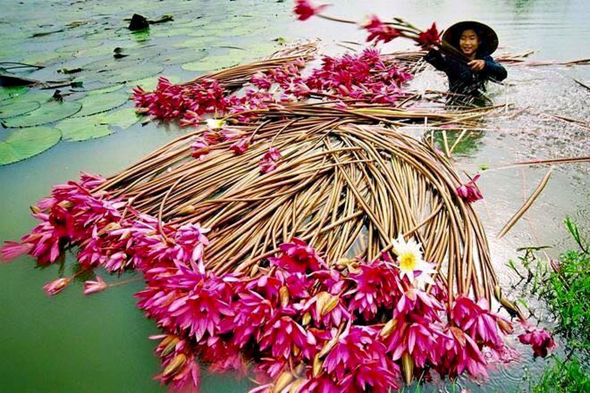 Nhung diem ngam hoa sung dep ngan ngo cho dan phuot-Hinh-7